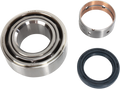 Hot Rods Crank Bearings K075