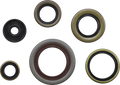MOOSE RACING Oil Seal Gasket Kit 822348MSE