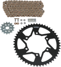 VORTEX Steel Chain Kit - Gold CKG6317