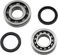 Hot Rods Crankshaft Bearings - Honda K095