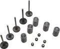 WISECO Valve Kit SVKB2424
