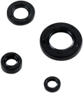 MOOSE RACING Engine Oil Seal Kit 822195MSE