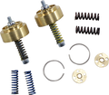 RACE TECH Gold Valve Cartridge Fork Emulators for Street/Track/Touring - 41 mm FEGV S4101