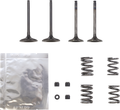 WISECO Valve Kit SVKB3405