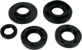 MOOSE RACING Motor Seals 822231MSE
