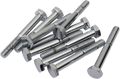 DRAG SPECIALTIES Bolts - Hex-Head - Chrome - 1/4"-20 x 2-1/4" MPB121