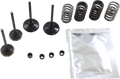 WISECO Valve Kit SVKB1409
