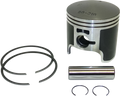WSM Piston Kit - Polaris 300 - +1 mm 50-310-07PK