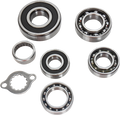 Hot Rods Transmission Bearings Kit TBK0056