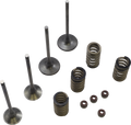 WISECO Valve Kit SVKB6334