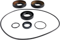 EPI Differential Seal Kit - Rear WE290105