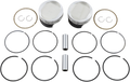 WISECO Piston Kit Tracker Series K0213P1