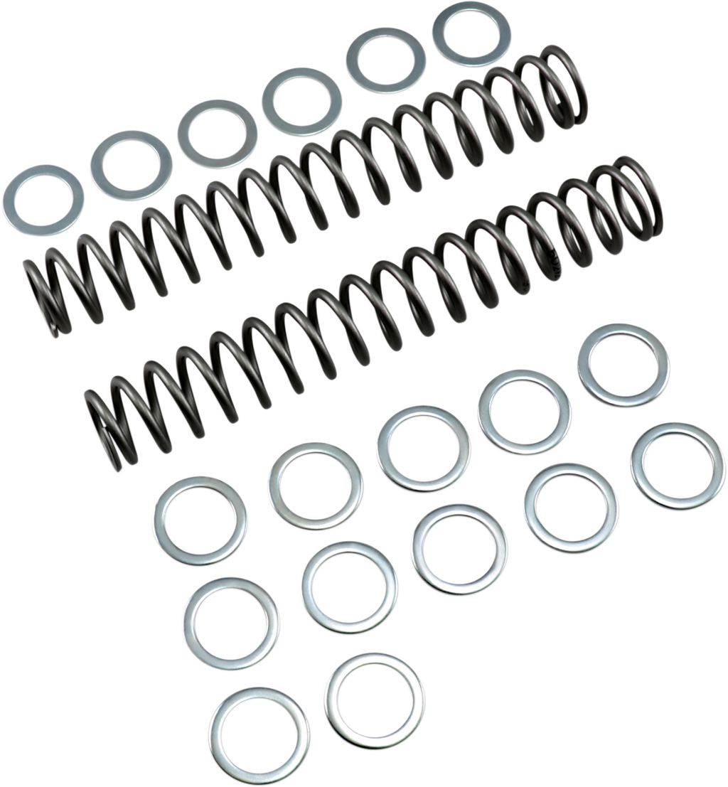 RACE TECH Fork Springs - 0.90 kg/mm FRSP S3825090