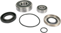 WSM Pump Repair Kit - Kawasaki 003-606
