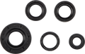 MOOSE RACING Oil Seal Set - KTM SX 50 822222MSE