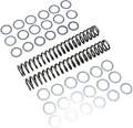 RACE TECH Fork Springs - 1.00 kg/mm FRSP S3827100