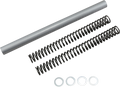 RACE TECH Fork Springs - 1.00 kg/mm FRSP S3534100