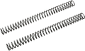 RACE TECH Fork Springs - 0.52 kg/mm FRSP 434952
