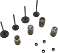 WISECO Valve Kit SVKB3338