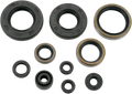 MOOSE RACING Motor Seals 822257MSE