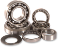 Hot Rods Transmission Bearings Kit TBK0029