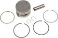 WSM Piston Kit 50-251-04K
