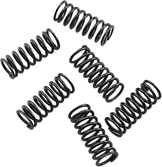 BARNETT Clutch Springs 501-39-06052