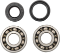 Hot Rods Crank Bearings K009