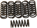 BARNETT Clutch Springs 501-50-06042