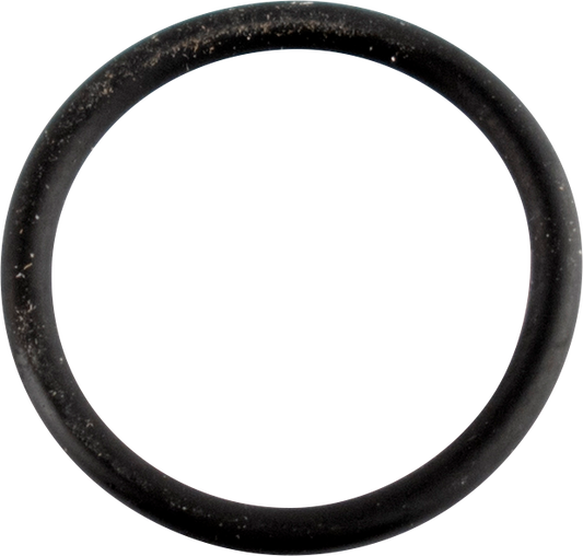 WSM Cam Sensor O-Ring 008-599-27