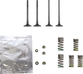 WISECO Valve Kit SVKB2402