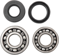 Hot Rods Crank Bearings K008