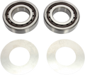 Hot Rods Crank Bearings K093
