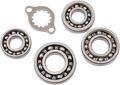 Hot Rods Transmission Bearing Kit TBK0012