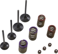 WISECO Valve Kit SVKB4336