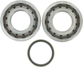 Hot Rods Crank Bearings K068