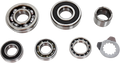 Hot Rods Transmission Bearings Kit TBK0077