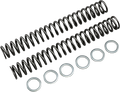 RACE TECH Fork Springs - 1.00 kg/mm FRSP S4031100