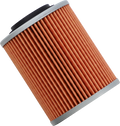 TWIN AIR Oil Filter - Can-Am 140021