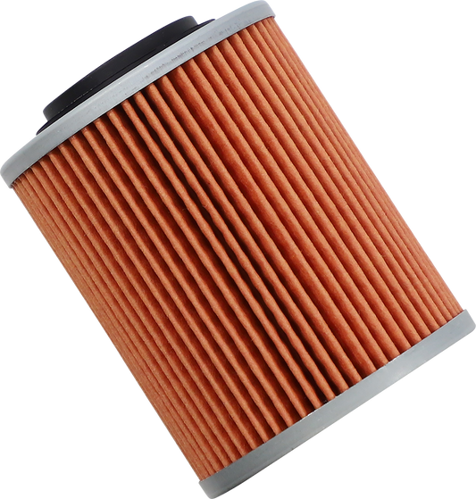 TWIN AIR Oil Filter - Can-Am 140021