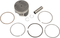 WSM Piston Kit 50-219K