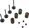WISECO Valve Kit SVKB4335