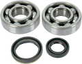 Hot Rods Crank Bearings K042