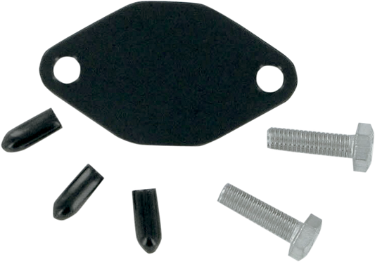 WSM Oil Injection Block Off Plate 011-206