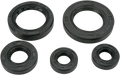MOOSE RACING Motor Seals 822255MSE