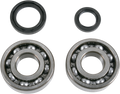 MOOSE RACING Crank Bearings and Seals - Suzuki 24-1038
