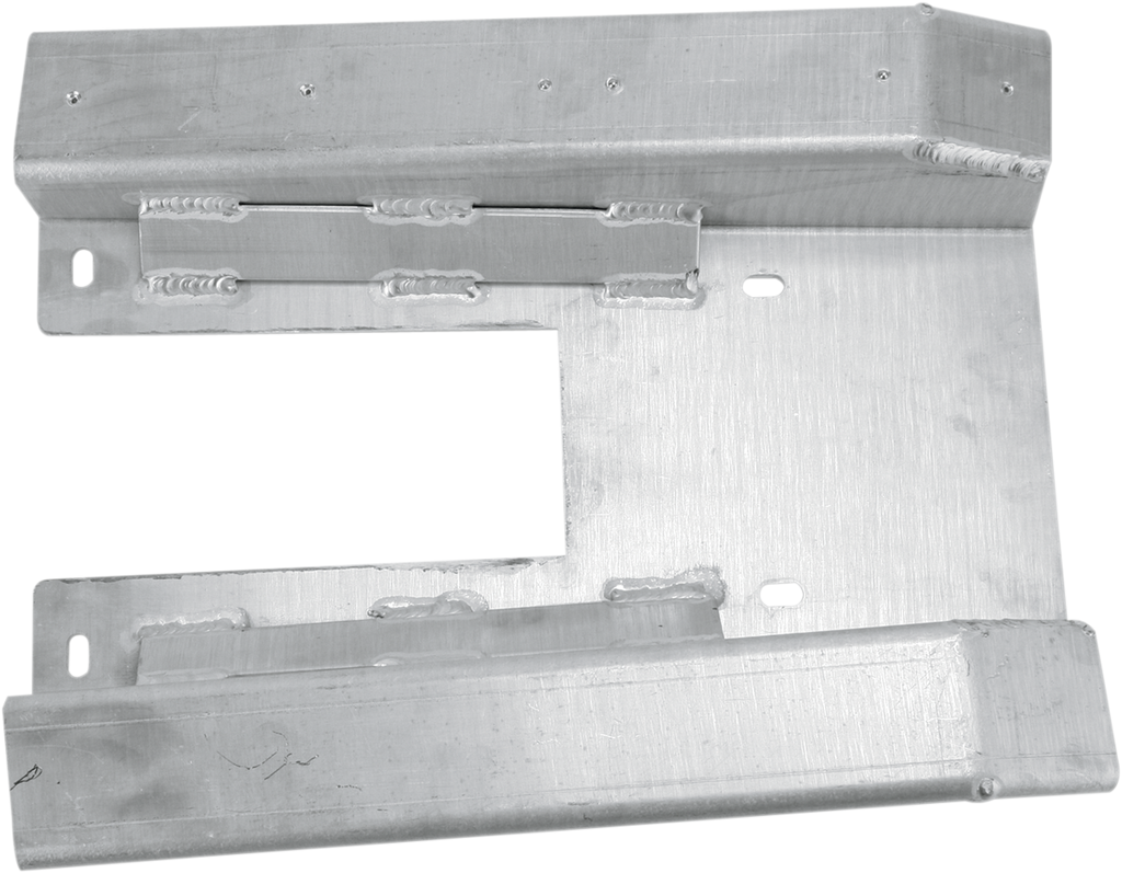 MOTORSPORT PRODUCTS Swingarm Skid Plate - Raptor 82-3601