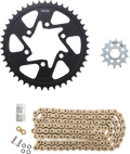 VORTEX Chain Kit - Gold CKG4219