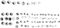 DRAG SPECIALTIES Bolt Covers - Chrome 352017