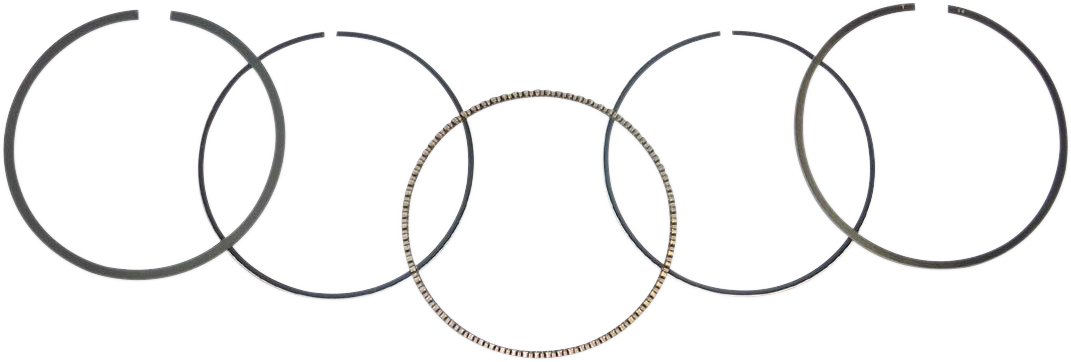 WSM Ring Set 51-255